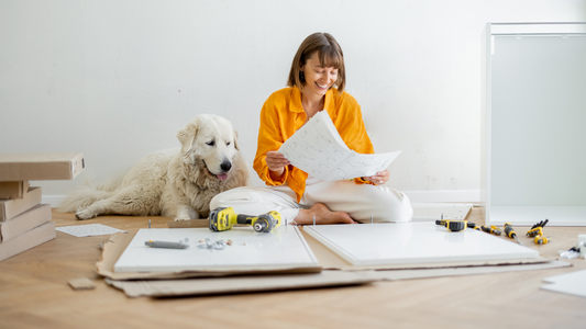 🍂DIY Fall Dog Toys & Accessories🐾