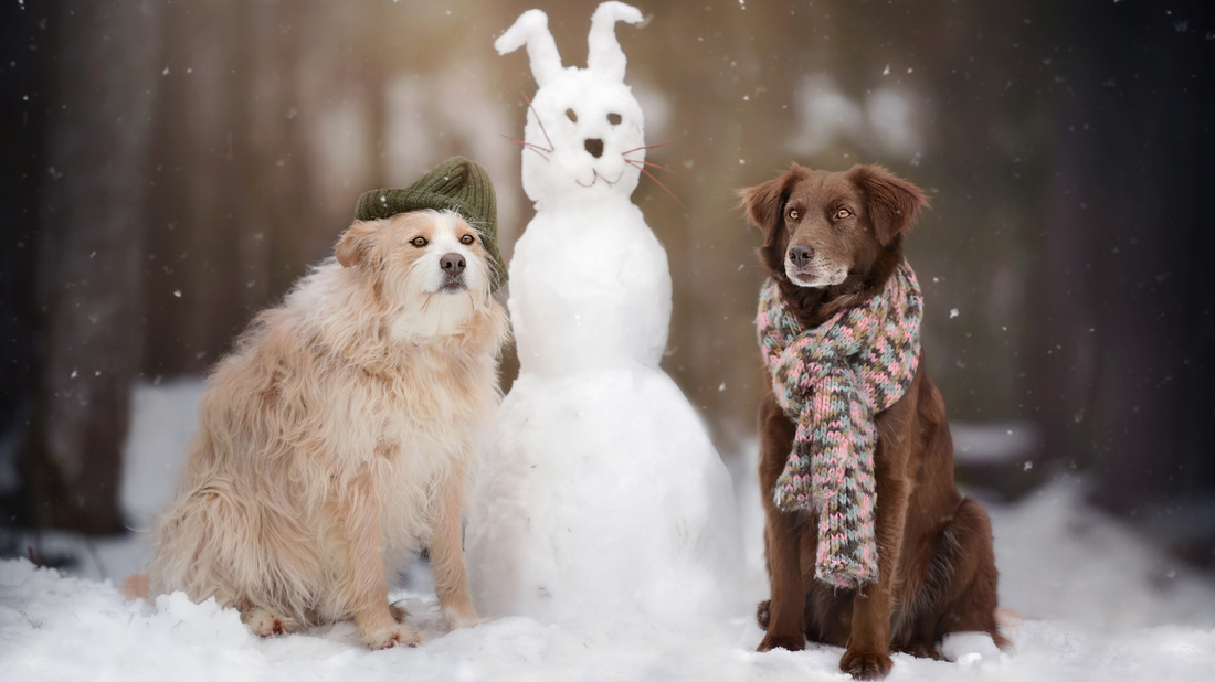 Δύο σκύλοι ντυμένοι με χειμερινά αξεσουάρ ποζάρουν δίπλα σε έναν χιονάνθρωπο σε δάσος. οδηγός χειμερινής φροντίδας σκύλων για ζεστασιά, ασφάλεια και άνεση στο κρύο. Συμβουλές για μπουφάν σκύλων, προστασία πατούσας και χειμερινά αξεσουάρ