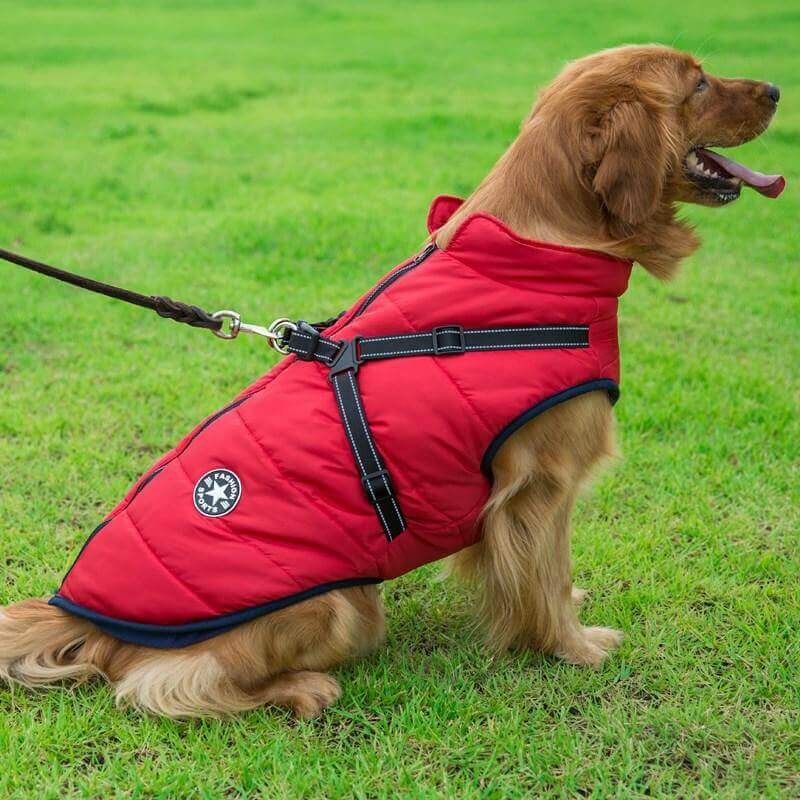 Dog Coat Fashion-Sport