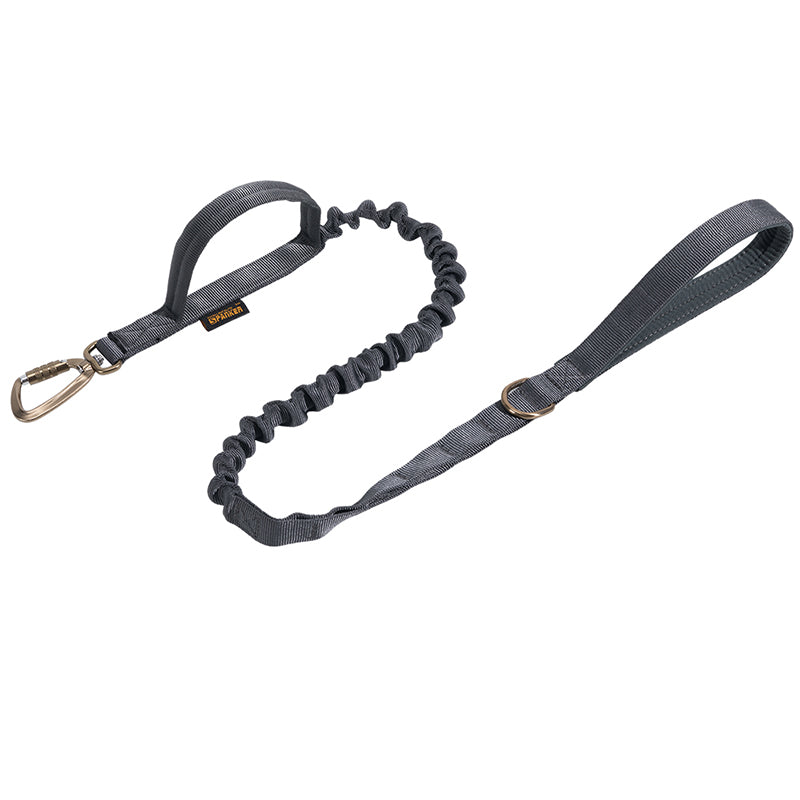Shock-Absorbing Dog Leash