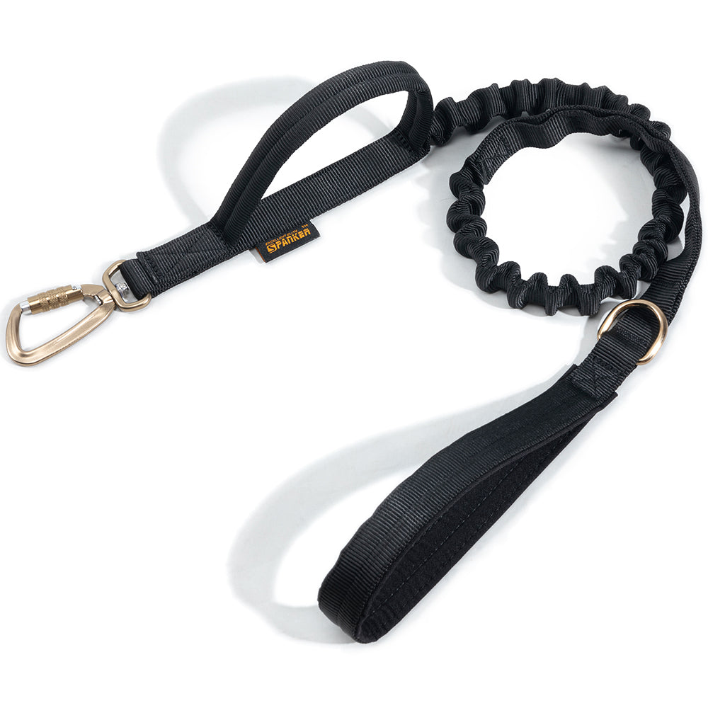 Shock-Absorbing Dog Leash