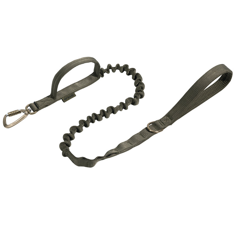 Shock-Absorbing Dog Leash