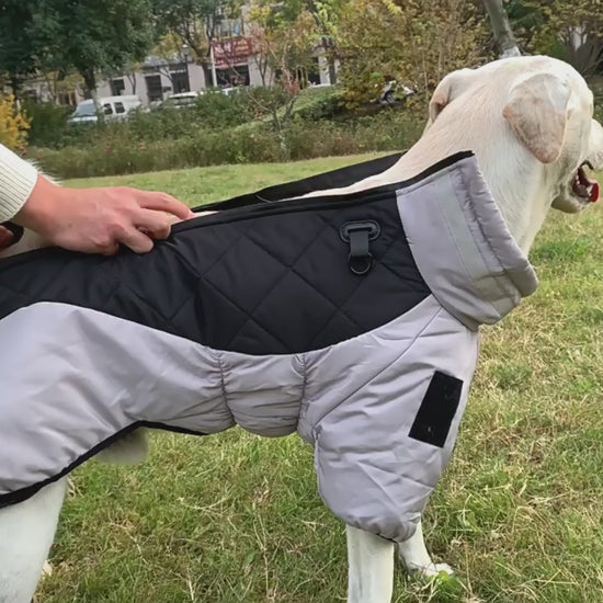 Αδιάβροχο μπουφάν σκύλου σε γκρι και μαύρο χρώμα για χειμερινή προστασία 