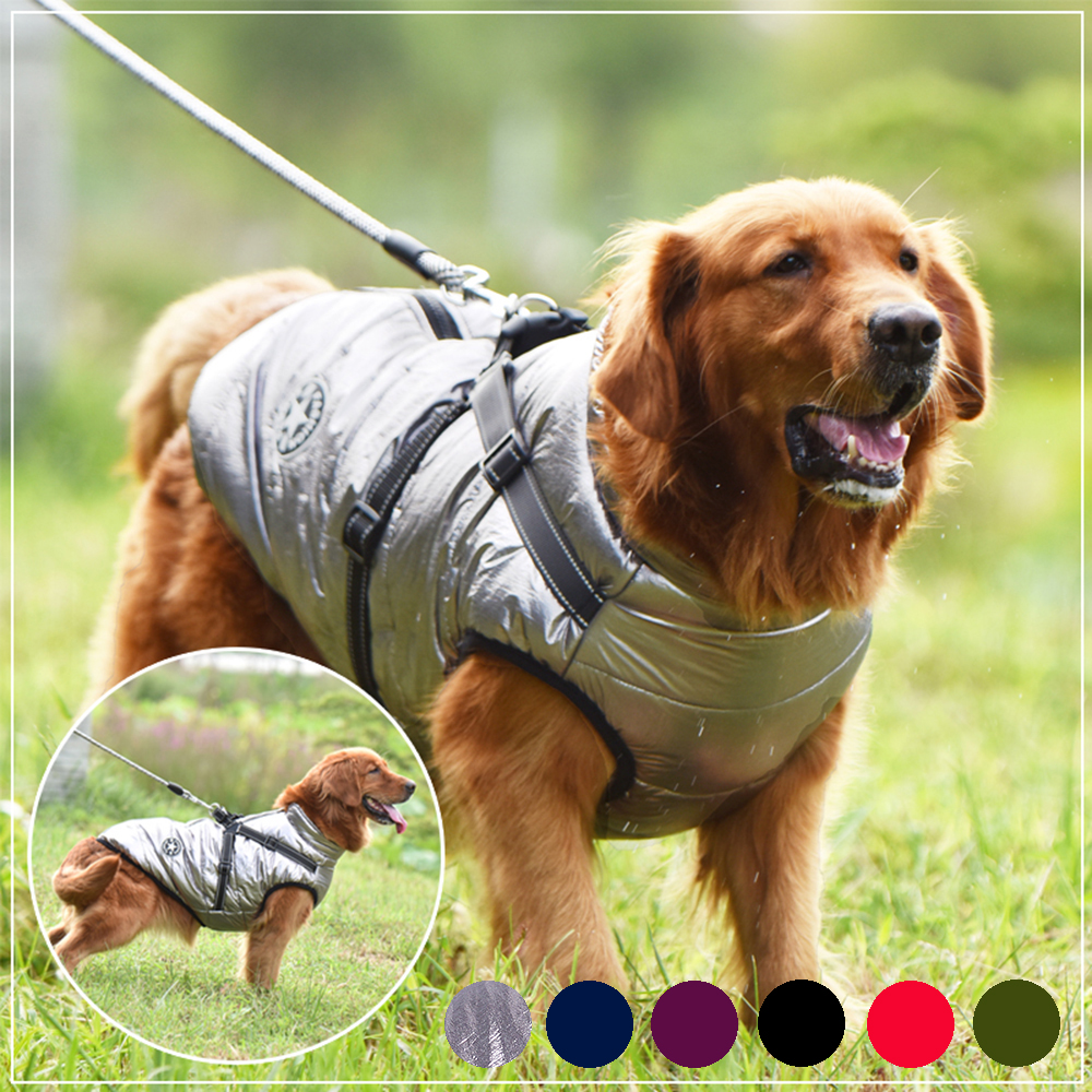 Dog Coat Fashion-Sport